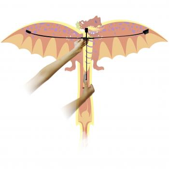 Vleugeldraken Pop‑Up 3D Assortiment