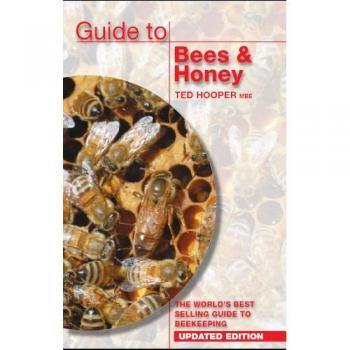 Guide to Bees & Honey