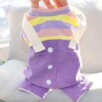Manteau cosy en coton pour chiens – Teddy Bichon, Schnauzer Poméranien, Yorkshire Terrier