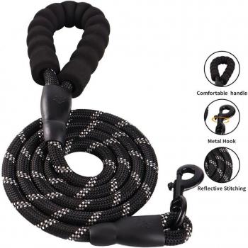 Strong Nylon Pet Leash with Comfort Grip