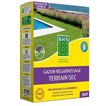 Gazon Résistant pour Terrain Sec