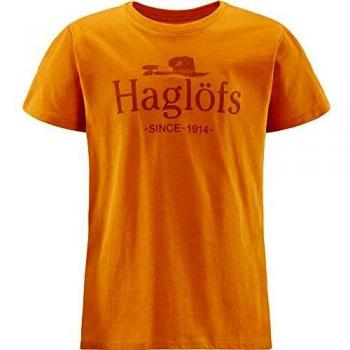 Tee-shirt Haglöfs Camp Garçon, Jaune désert, 158