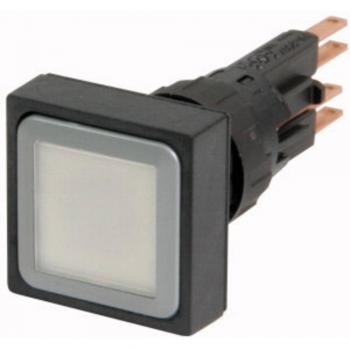10‑Pack Q25LTR‑X IP65 Push Button Actuators