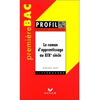 Le Roman d'apprentissage au XIXe siècle