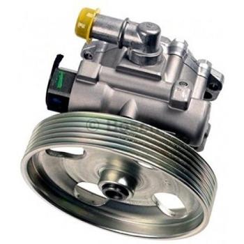 K S00 000 606 Bosch Hydrauliksteuerungspumpe