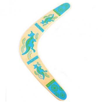 LED Flightwood Boomerang Toy