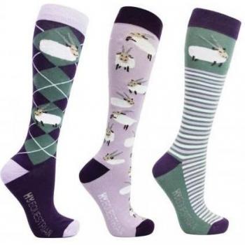 Hy Women's Ankle Socks (Pack of 3)