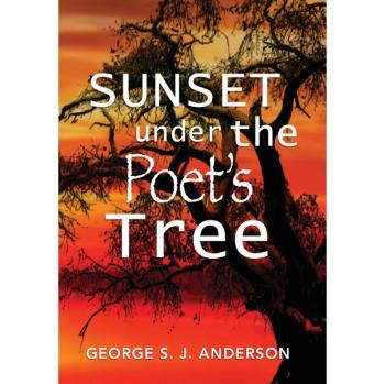 Sunset Under the Poet's Tree