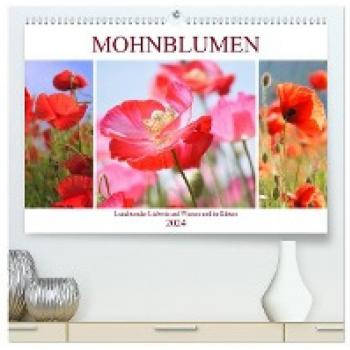 Mohnblumen. Leuchtender Liebreiz auf Wiesen und in Gärten (hochwertiger Premium Wandkalender 2024 DIN A2 quer) Kunstdruck in Hochglanz