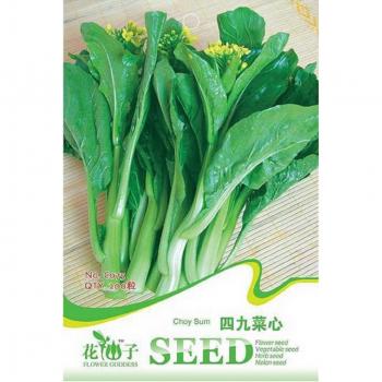 200 semi di rapa campestris – BRASSICA CAMPETRIS L.SSP.CHINENSIS VAR.UTILIS TSEN ET LEE