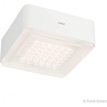 Nimbus Q 36 LED Ceiling Lamp