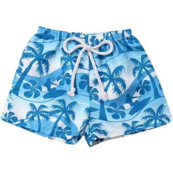 Toddler Boy Swimsuit Shorts