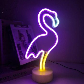 Iluminación Fotográfica Neón
