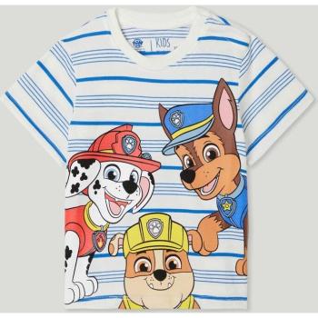 Camiseta infantil Patrulla Canina