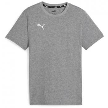 PUMA Sporthose & T-Shirt Combo – TeamGoal Junior Grau