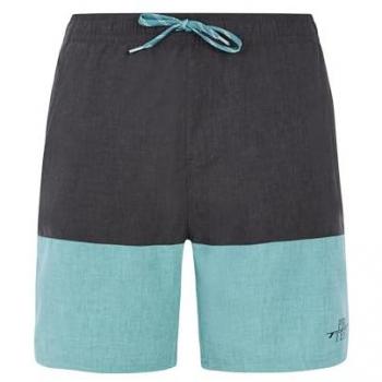 Male Arctic Green Protest Freddie Swim Shorts