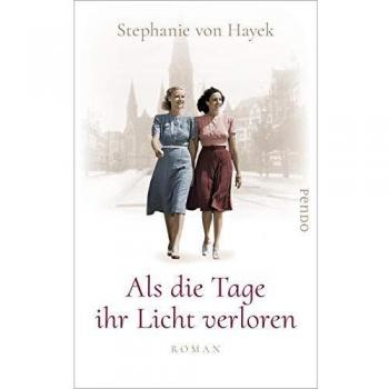 Als die Tage ihr Licht verloren: Roman