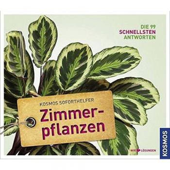 Soforthelfer Zimmerpflanzen