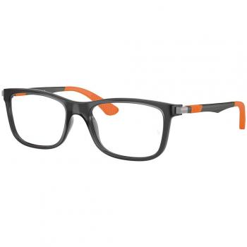 Optica Bassol (INT)