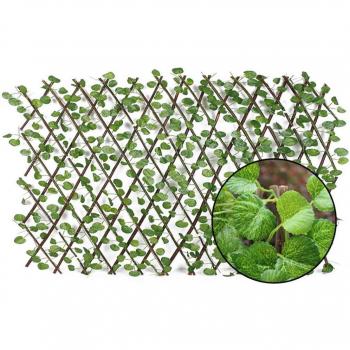 Garden Plant Extension Fence
