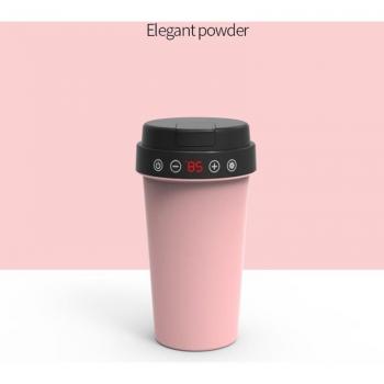 Adjustable Temperature Car Kettle