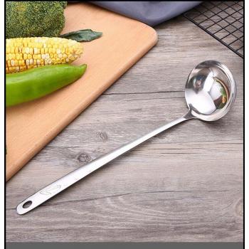 Shell Filter Skimmer Spoon