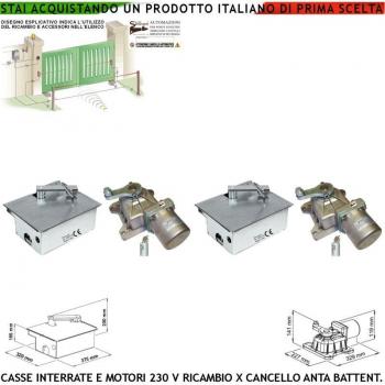 Securvera Motore Under 230V – Supporto Anticancello 5 Qli, Acciaio Zincato Ambidestro