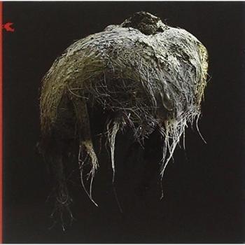 Elegy for the Punk Movement