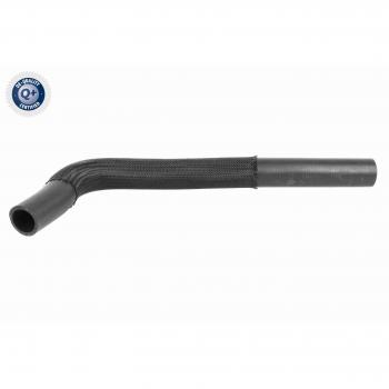 Tubo Radiatore Inferiore Motore ACKOJA A32-1606