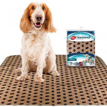 Absorbent Travel Dog Pads