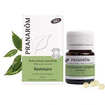 Pranarôm Huile Essentielle de Ravintsara Biologique en Perles Cinnamomum camphora Feuilles HECT 60 Perles