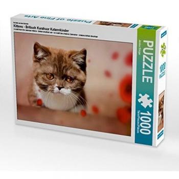 CALVENDO Puzzle Kittens