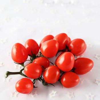Fake Cherry Tomato for Photography