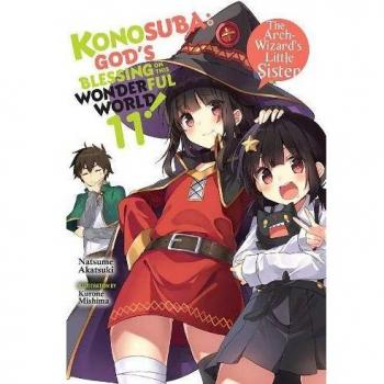 Konosuba: God's Blessing on This Wonderful World!, Vol. 11 (light novel) Paperback / softback