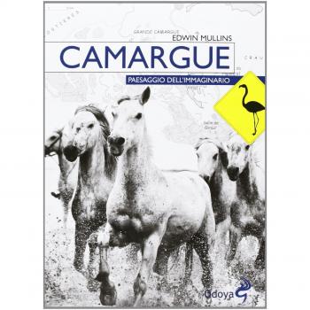 Camargue. Paesaggio dell'immaginario