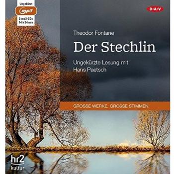 Der Stechlin: Ungekürzte Lesung (2 mp3-CDs)