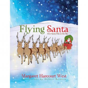 Flying Santa