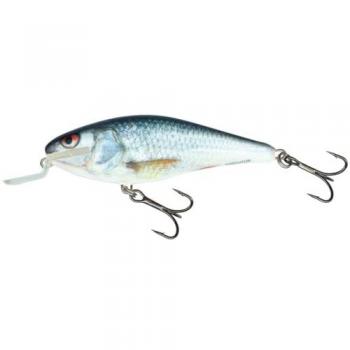 Salmo Executor Flachläufer Wobbler 12cm 33g Real Dace