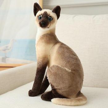 Cadeau d'Anniversaire Peluche Chat 20cm