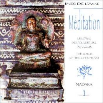 Éveil Serein : Méditation Lotus