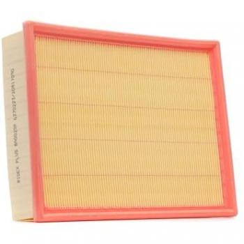 RIDEX Filtro aria VW 8A0025P