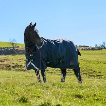 Royal Scot 100g Light‑Medium Neck‑Turnout Rug – Black & Wine Blend – 6 Feet – Unisex