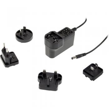 Alimentatore a spina 24 V/DC 0.25 A 6 W Mean Well GEM06I24-P1J