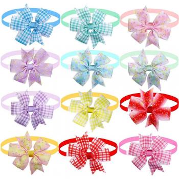 Set de 100 Pajaritas para Perros Pequeños
