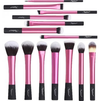 Sedona Pro Pink Beauty Brush Collection