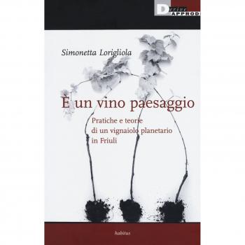 È un vino paesaggio. Pratiche e teorie di un vignaiolo planetario in Friuli