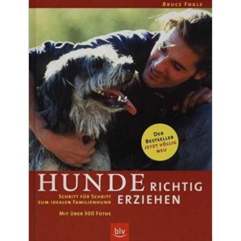 Hunde richtig erziehen