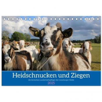 Heidschnucken und Ziegen die tierischen Landschaftspfleger der Lüneburger Heide (Tischkalender 2025 DIN A5 quer) CALVENDO Monatskalender