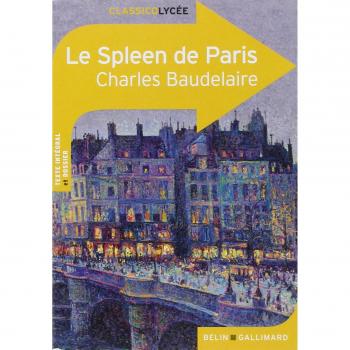 Le Spleen de Paris