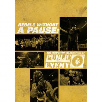 Public enemy rebels without a pause dvd